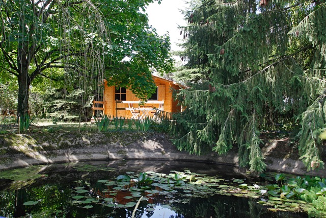 Bassin et couchage en chalet bois